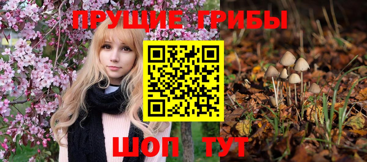 закладка  Вход с VPN  Каменск-Уральский  Псилоцибиновые грибы Magic Shrooms 