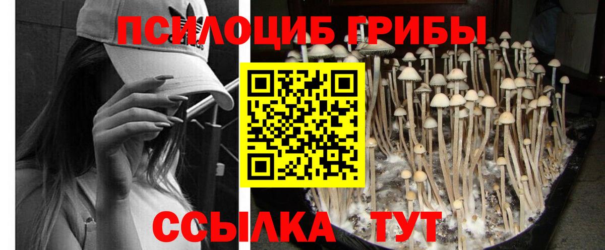 Галлюциногенные грибы Magic Shrooms Каменск-Уральский